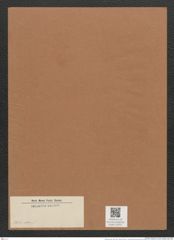 Diatomeae indet. (de-Toni-Nr.: Species 3036 var. ?) Zeichnungen Sammlung Grunow Mappe 03251 (Herbarium_W_Grunow_drawings_Folder_03251)